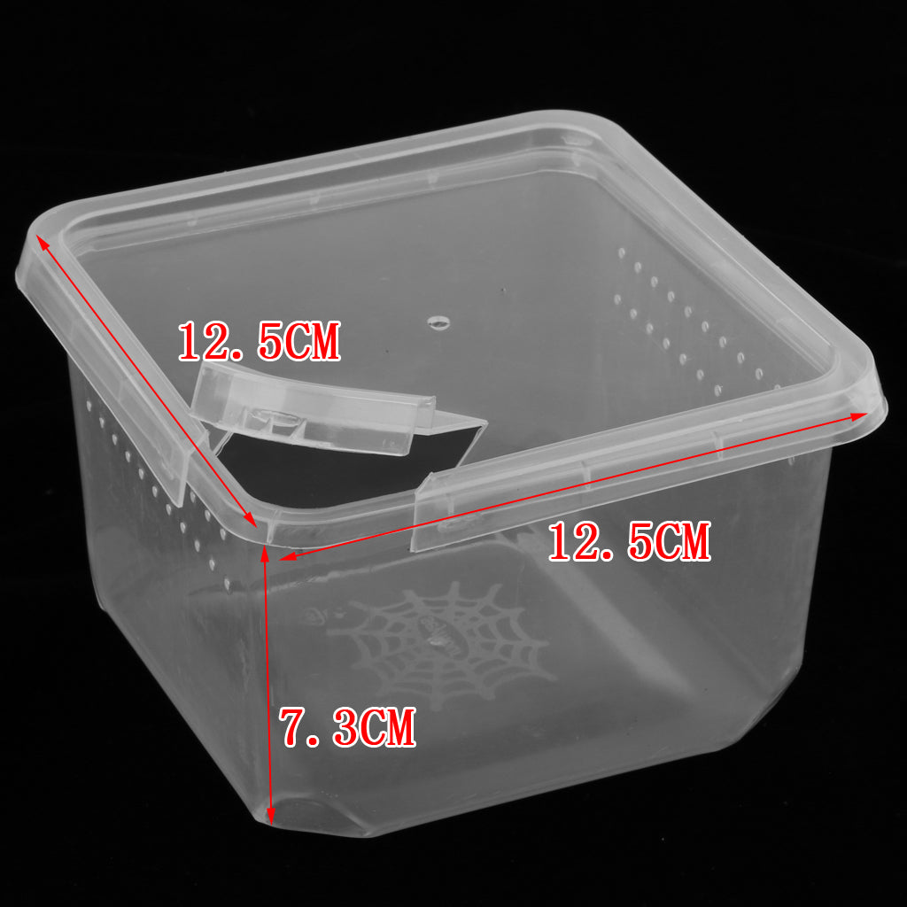 Spider Habitat Feeding Breeding Box Case Container 12x12x7cm