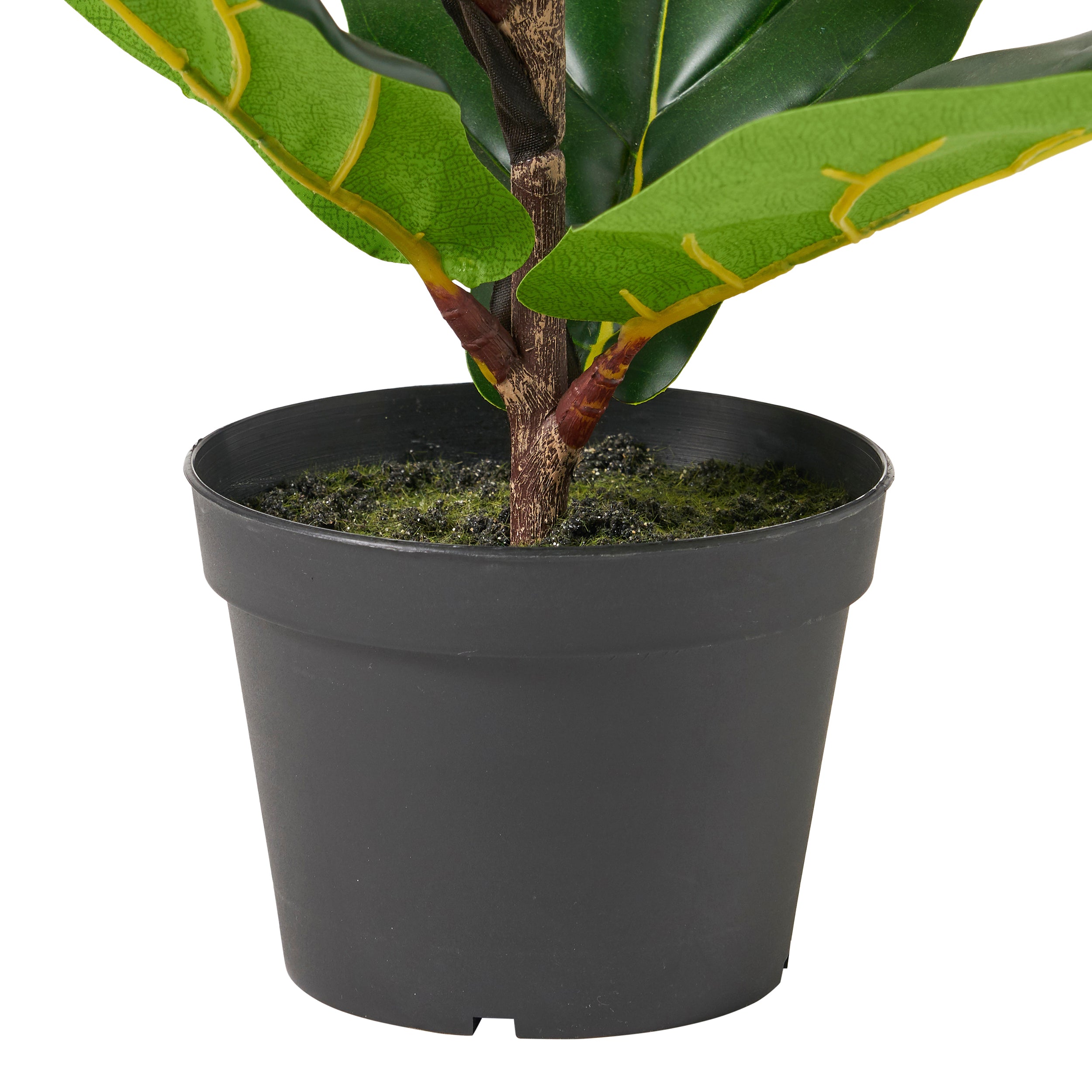 Stilwell Artificial Fiddle-Leaf Fig Tree