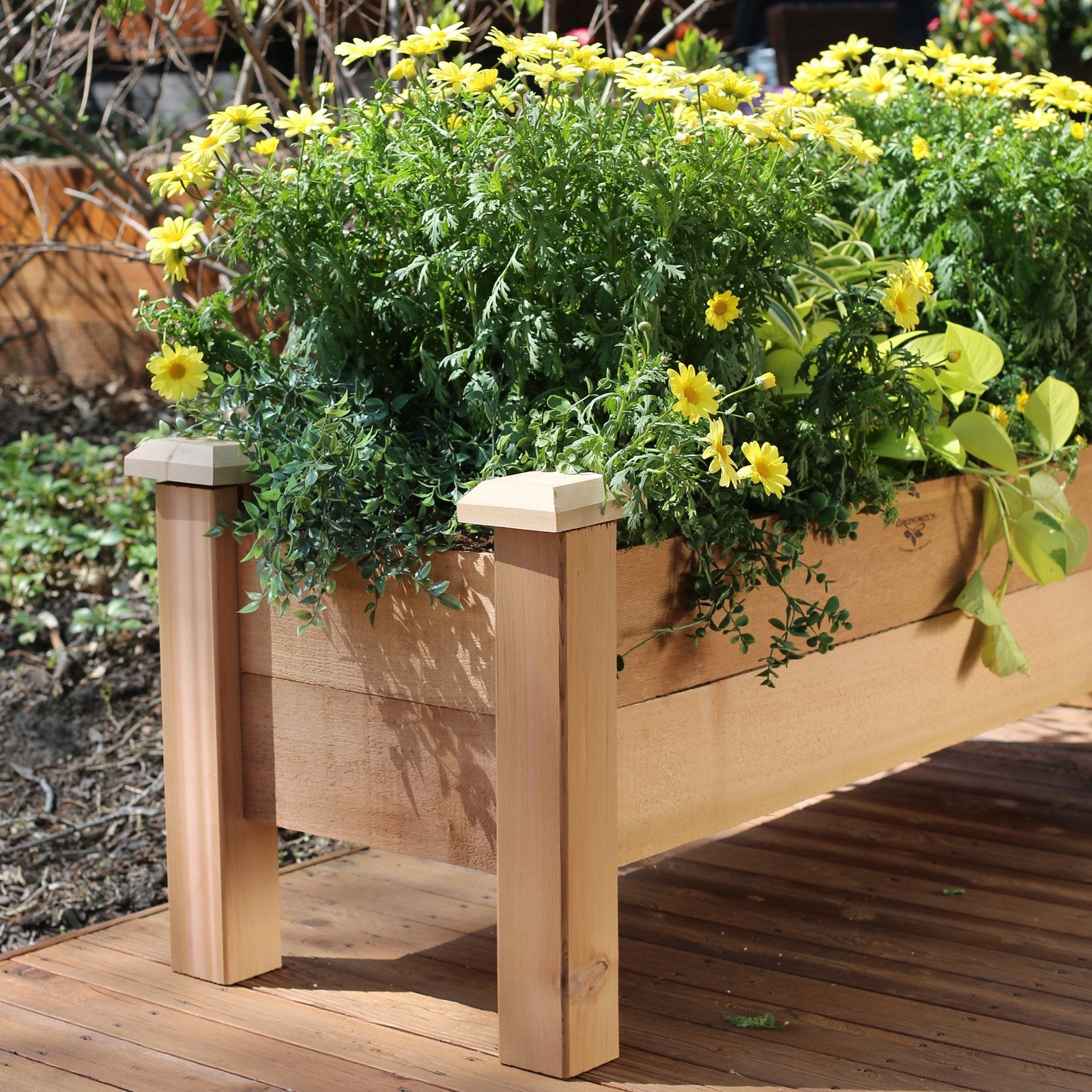 Gronomics RPB 18-48 9 in. Deep Rustic Planter Box 18 x 48 x 19 in.