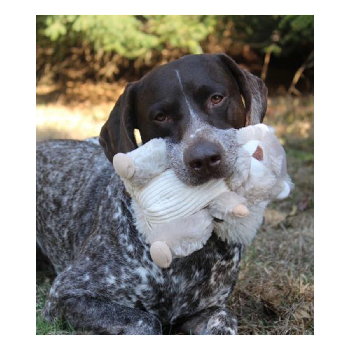 Tall Tails Animated Squirrel Dog Toy