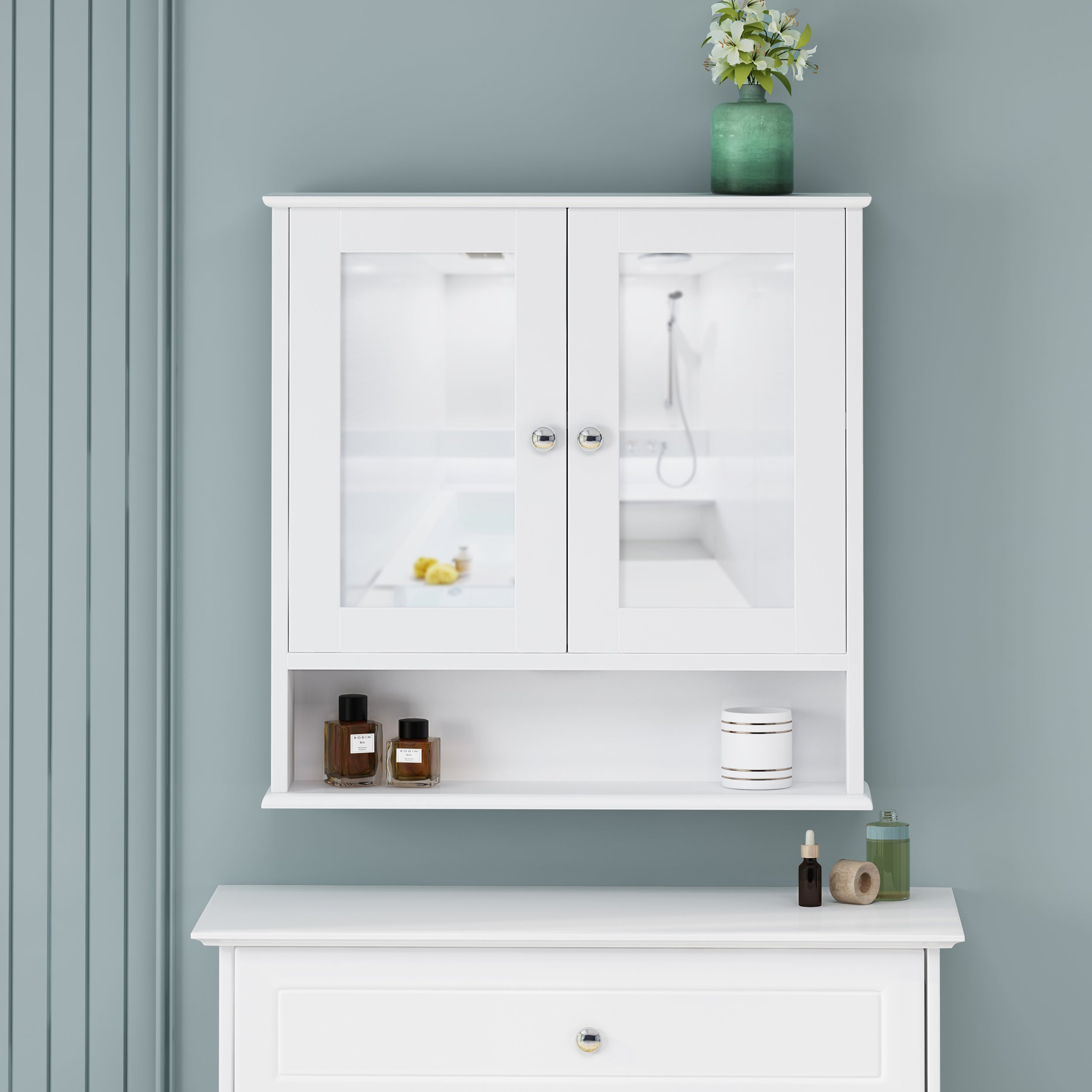 Dillyn Contemporary 2 Door Mirror Medicine Cabinet