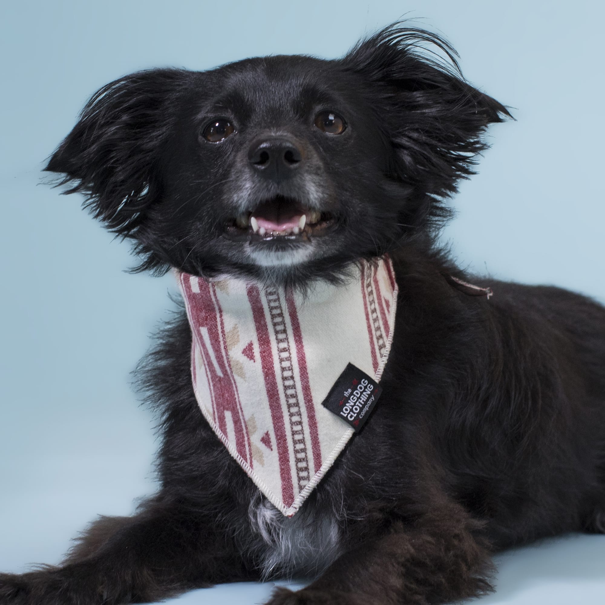 LONG DOG CLOTHING CO. The Old West Dog Bandana， Small