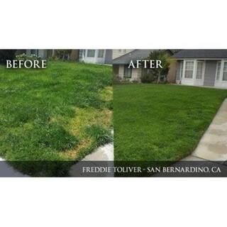 Milorganite 32 lbs. Slow-Release Nitrogen Fertilizer 100539618