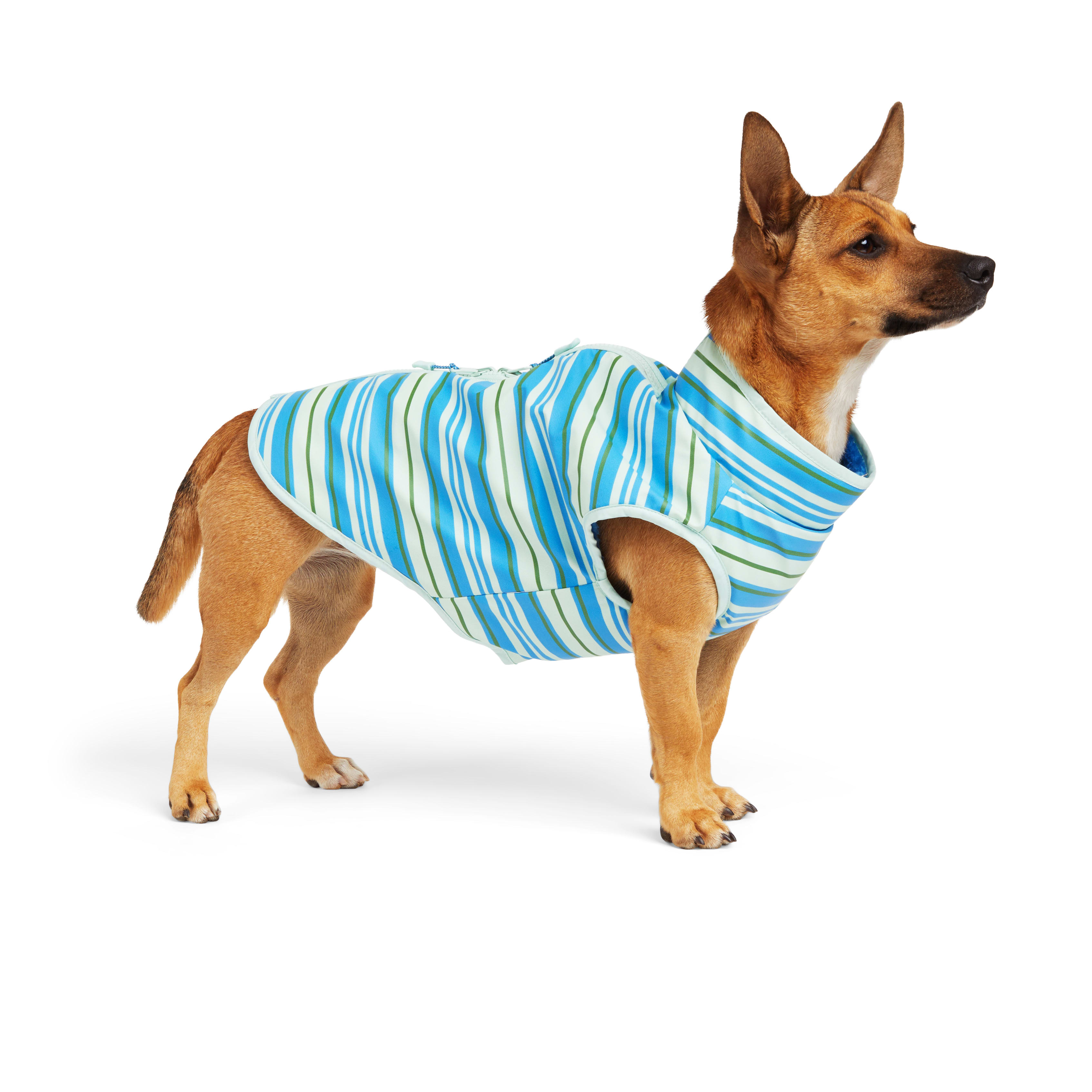 YOULY Blue Reversible Stripe Pet Jacket， XX-Small