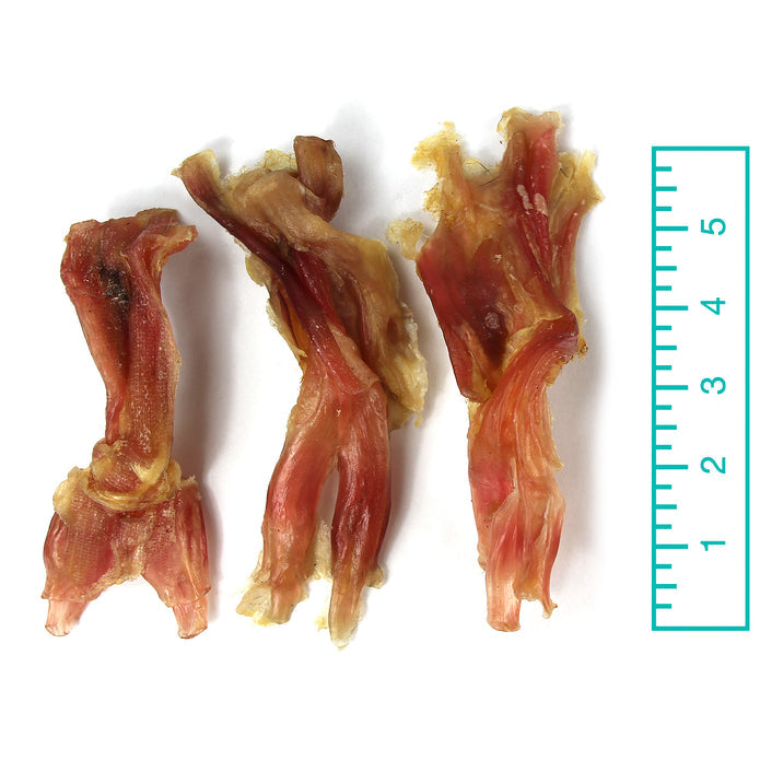 Tuesdays Natural Dog Company Assorted Beef Tendons Dog Treat