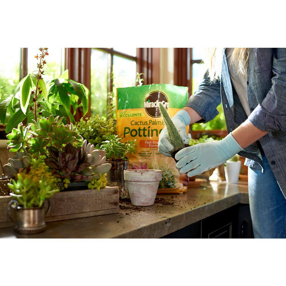 Miracle-Gro 8 Qt. Cactus Palm and Citrus Potting Mix 72078500