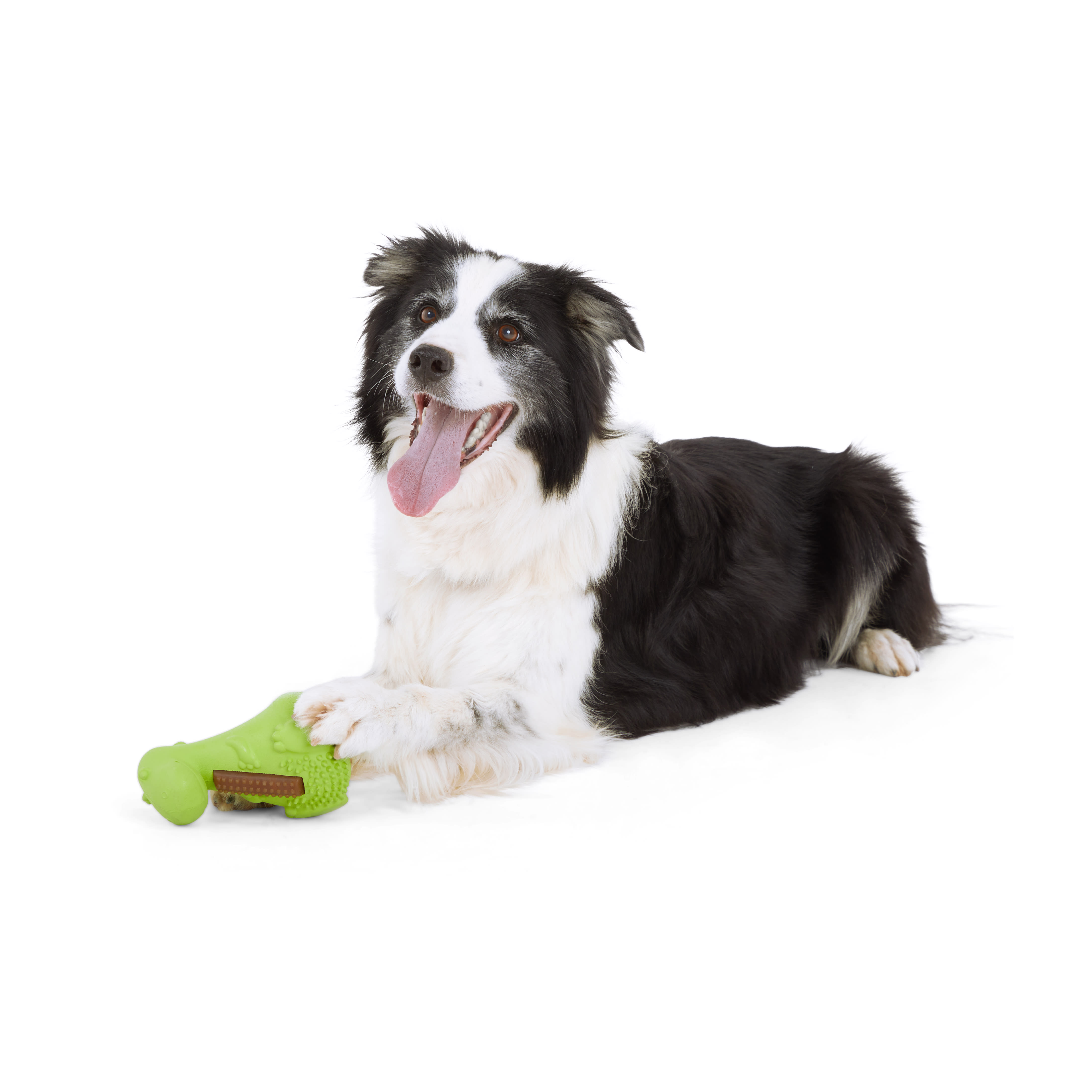 LEAPS  BOUNDS Wobble Dino Treat Dog Toy， Small