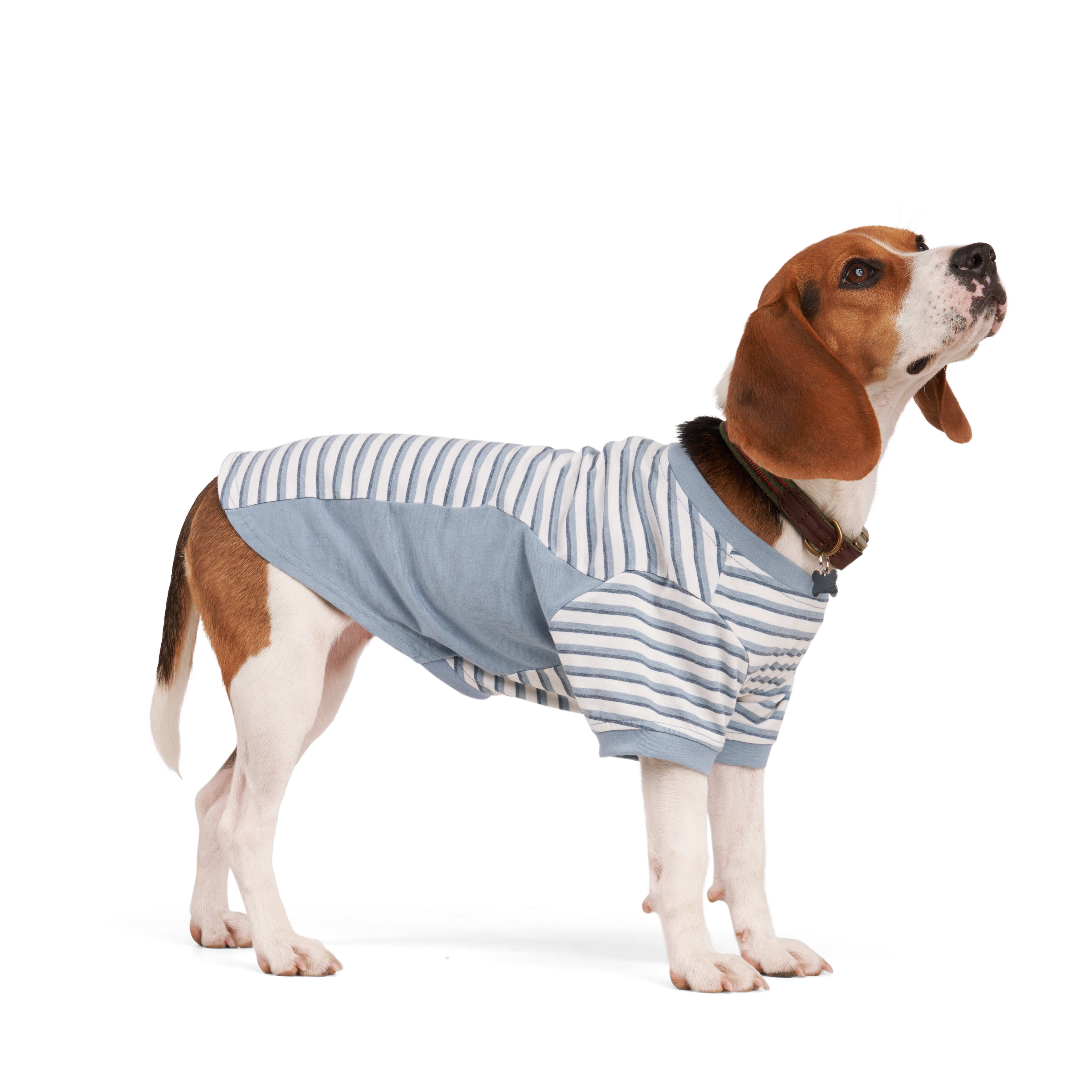 Reddy Blue Stripe Dog Tee， XX-Small