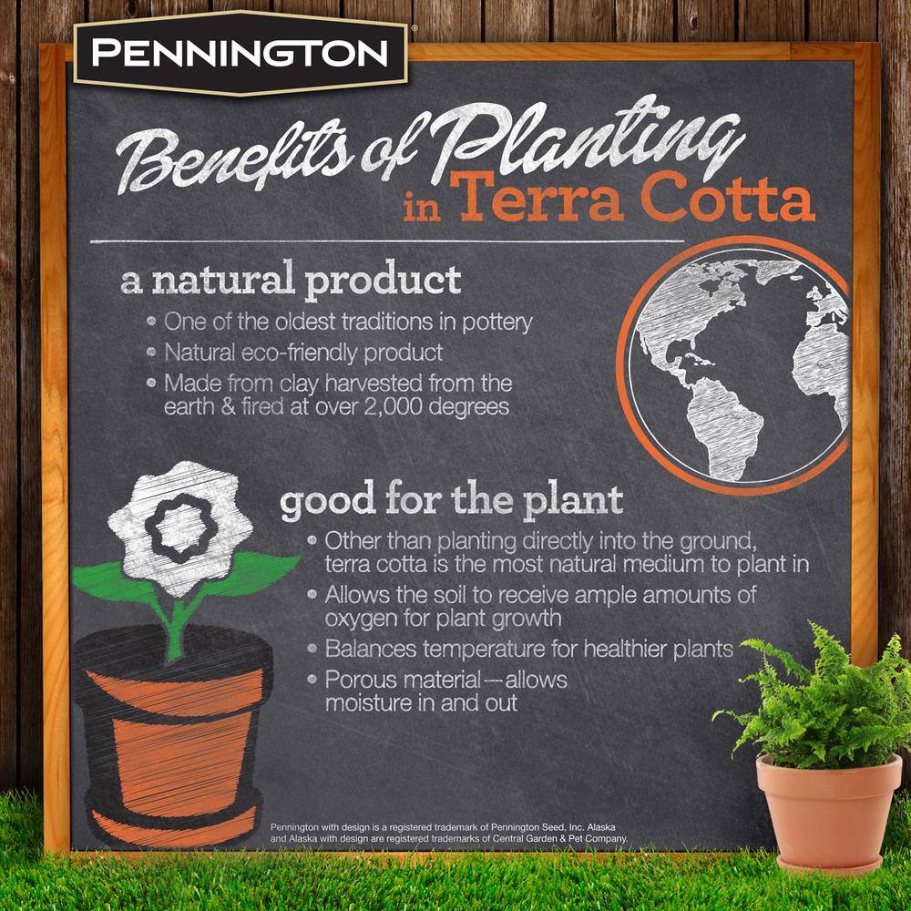 Pennington 9.5 in. Medium Clay Terra Cotta Pot 100528519