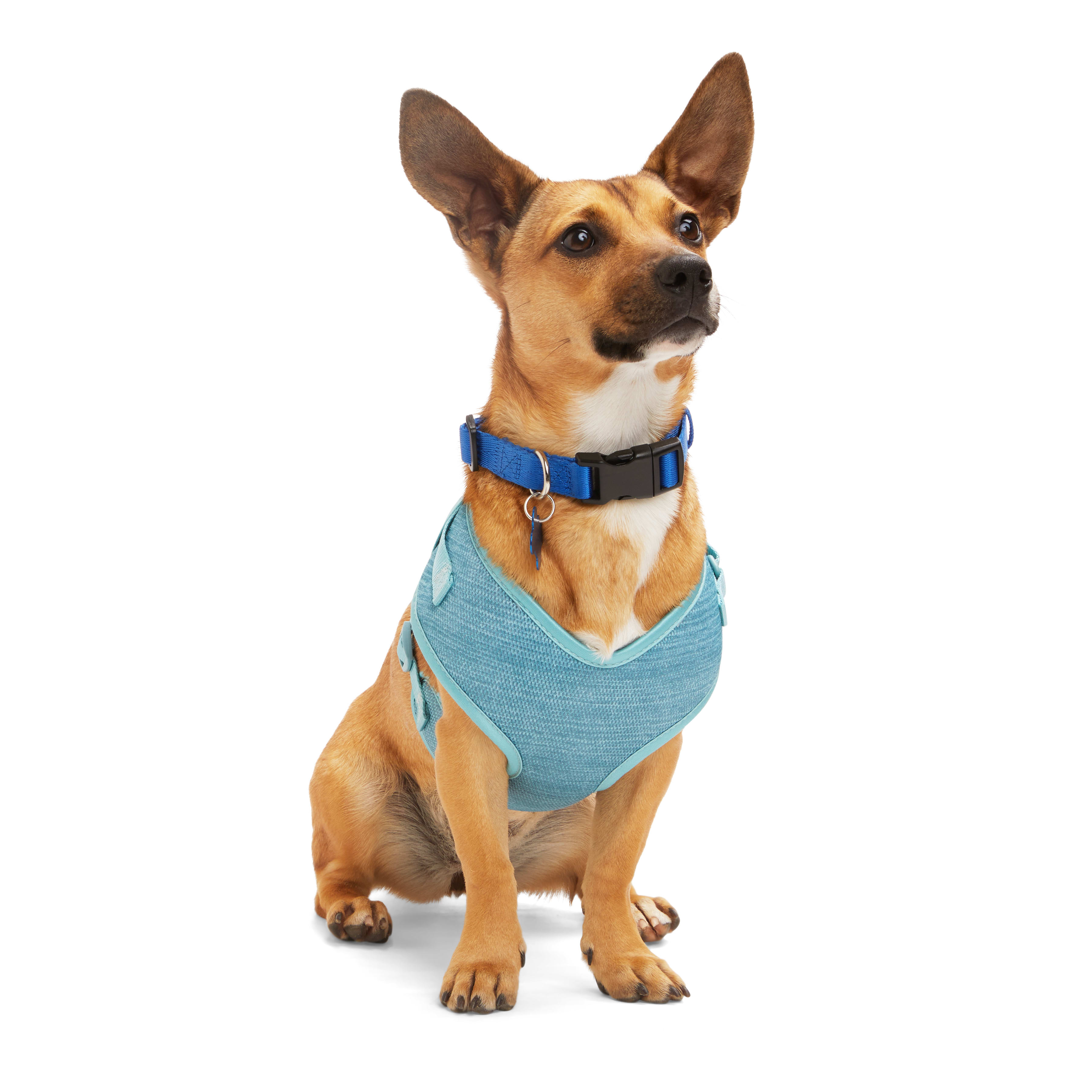 EveryYay Teal Heather Pullover Dog Harness， X-Small