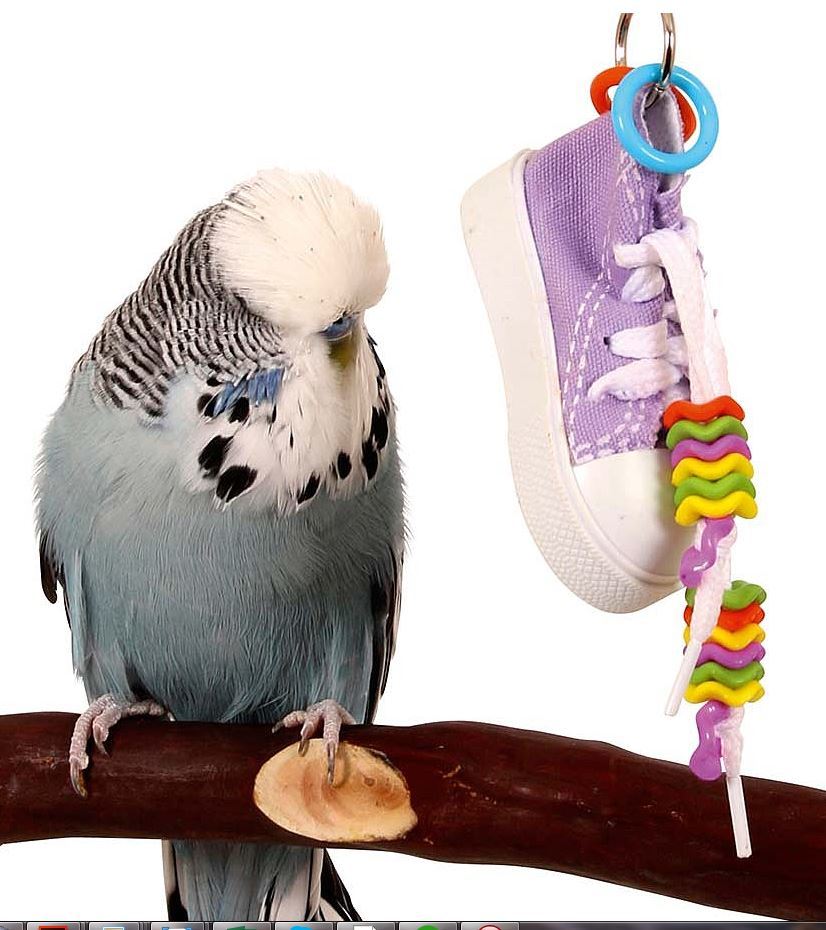 Bonka Bird Toys 1928 Wiggle Sneaker Bird Toy.