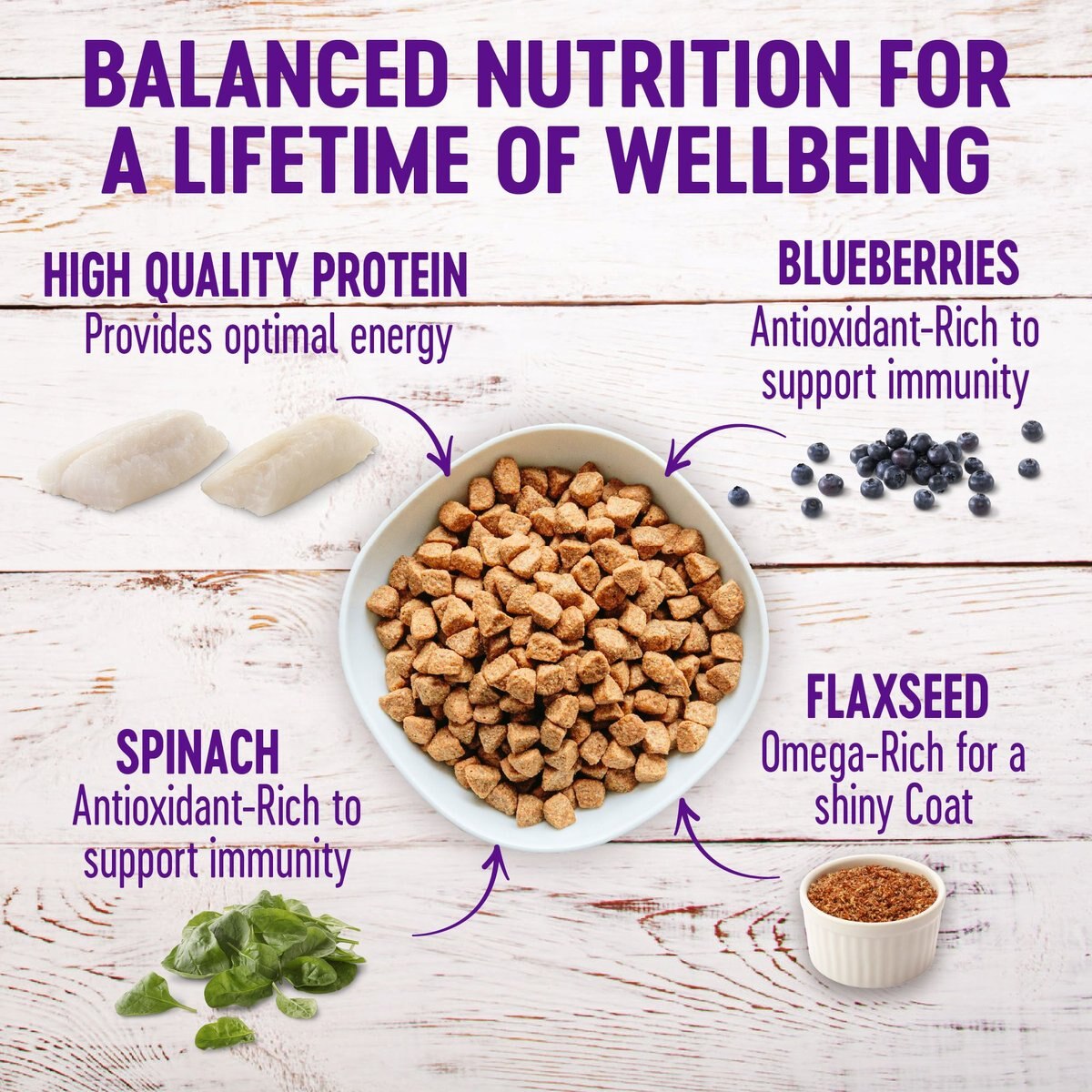 Wellness Grain-Free Complete Health Adult Whitefish and Menhaden Fish Meal Recipe Dry Dog Food