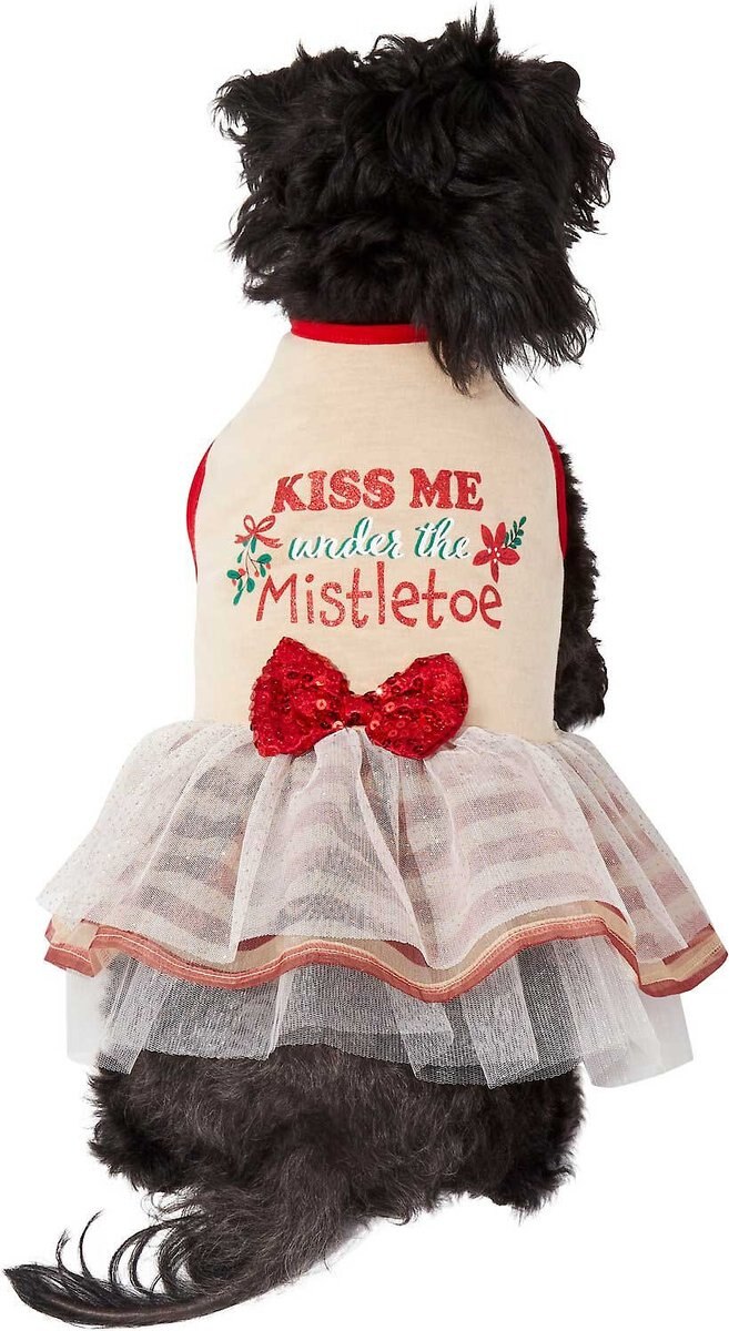 Frisco Kiss Me Under the Mistletoe Dog and Cat Dress