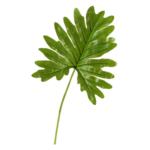 Large Cellium Philo Leaf