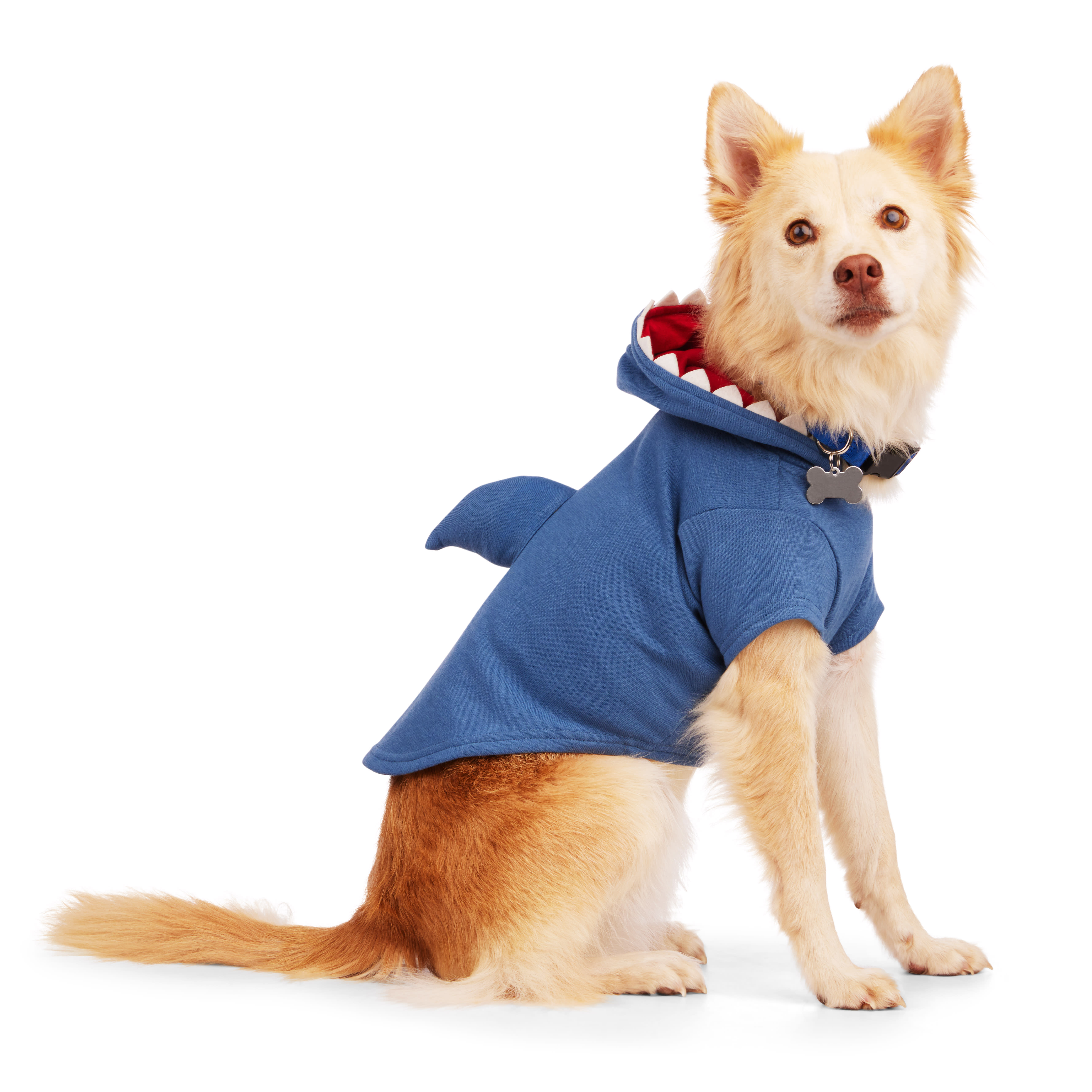 YOULY Shark Hoodie for Dogs， XX-Small