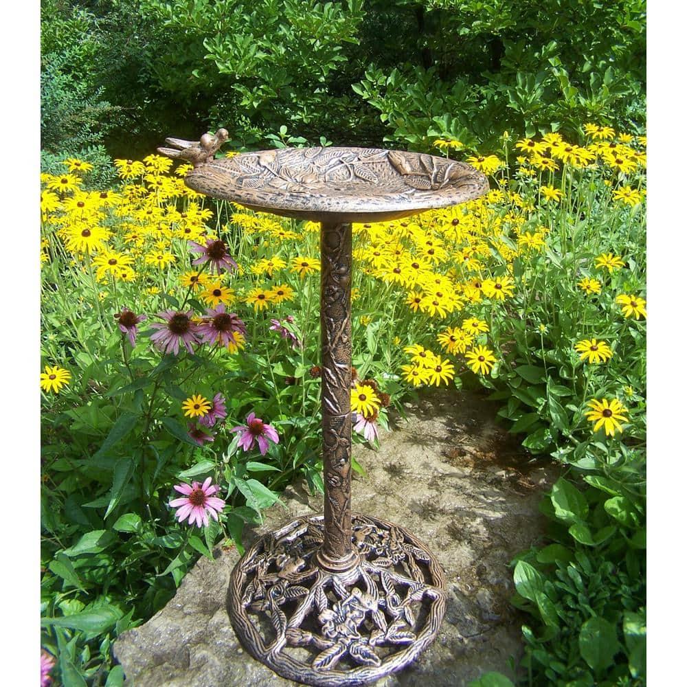 Hummingbird Bird Bath HD5131-AB