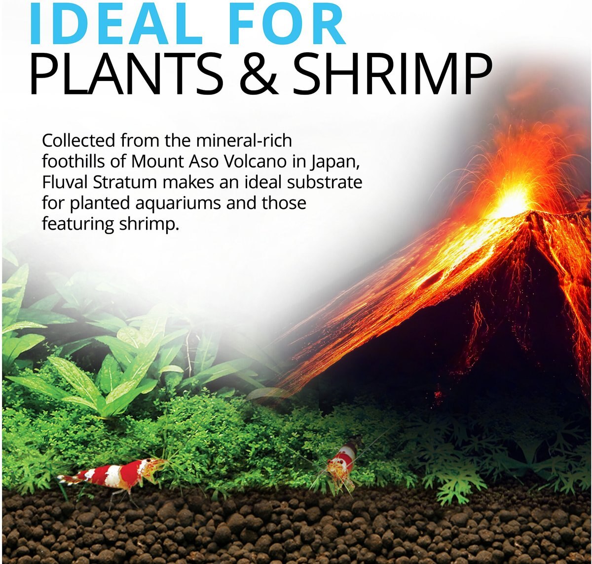 Fluval Plant and Shrimp Stratum Plant Care