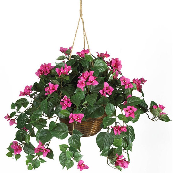 Bougainvillea Silk Plant Hanging Basket