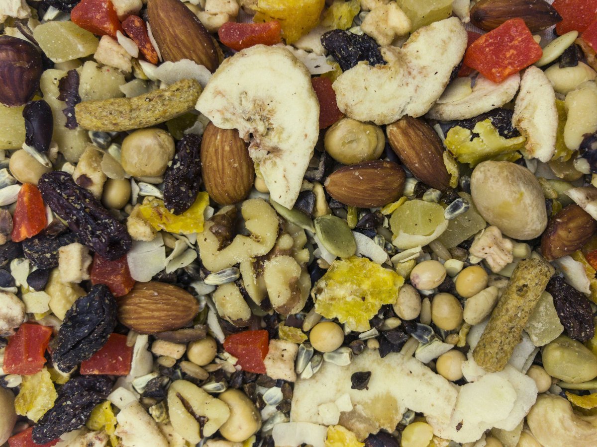 Higgins Sunburst Gourmet Treats Dried Fruits and Nuts Macaw and Conure Bird Treats