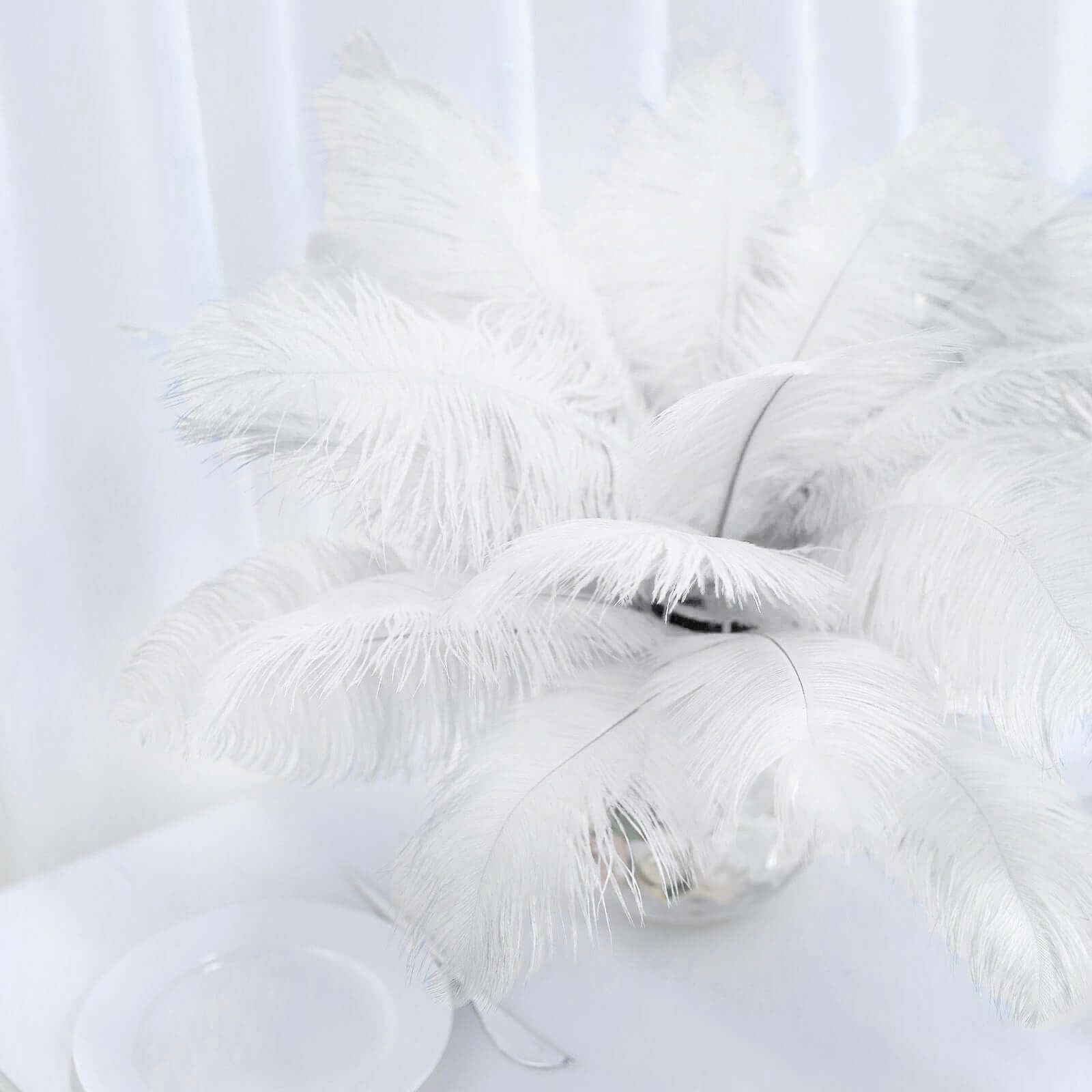 12 Pack White Natural Plume Real Ostrich Feathers, DIY Centerpiece Fillers 13