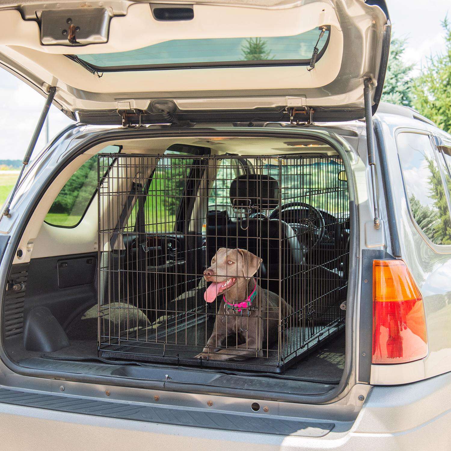 Pet Essentials Medium Steel Dog Crate Black 26 in. H X 24 in. W X 36 in. D