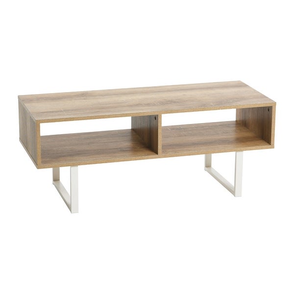 Modern Coffee Table with 2 Compartments