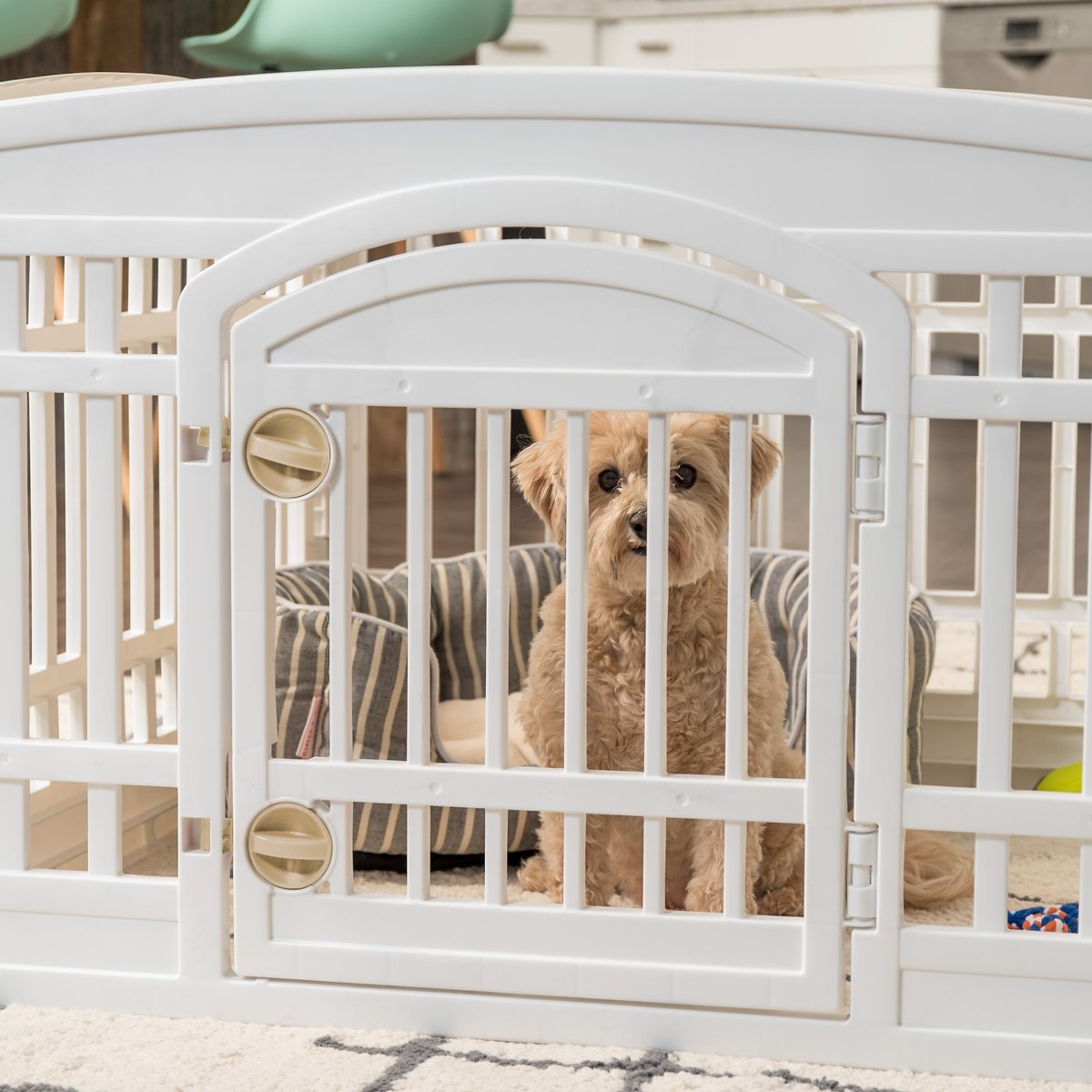 IRIS Exercise Dog Playpen with Door - 4 to 8 Panel Sizes