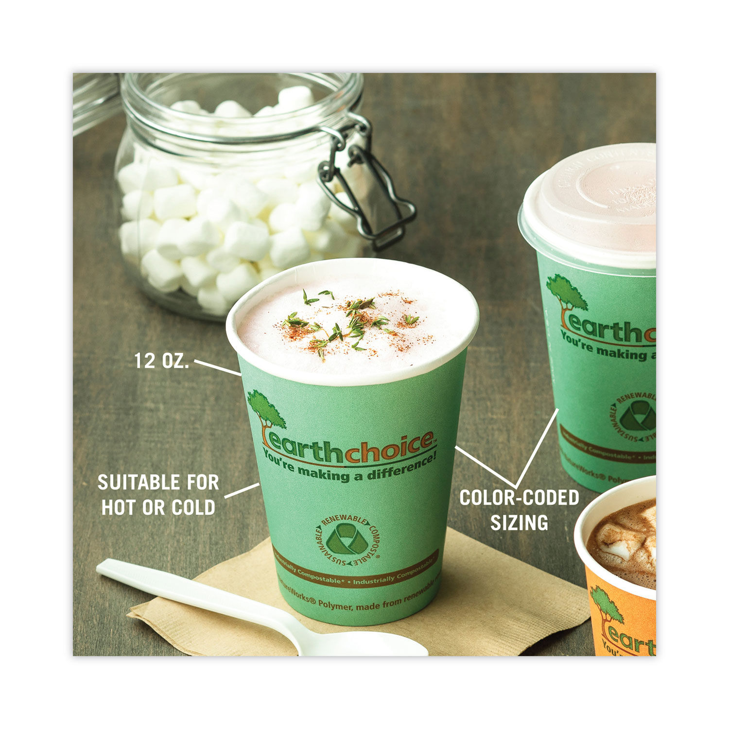 EarthChoice Compostable Paper Cup by Pactiv PCTDPHC12EC