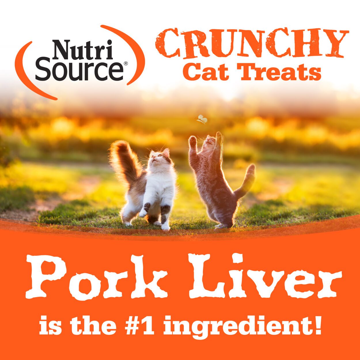 Nutrisource Crunchy Liver  Cheese Cat Treats