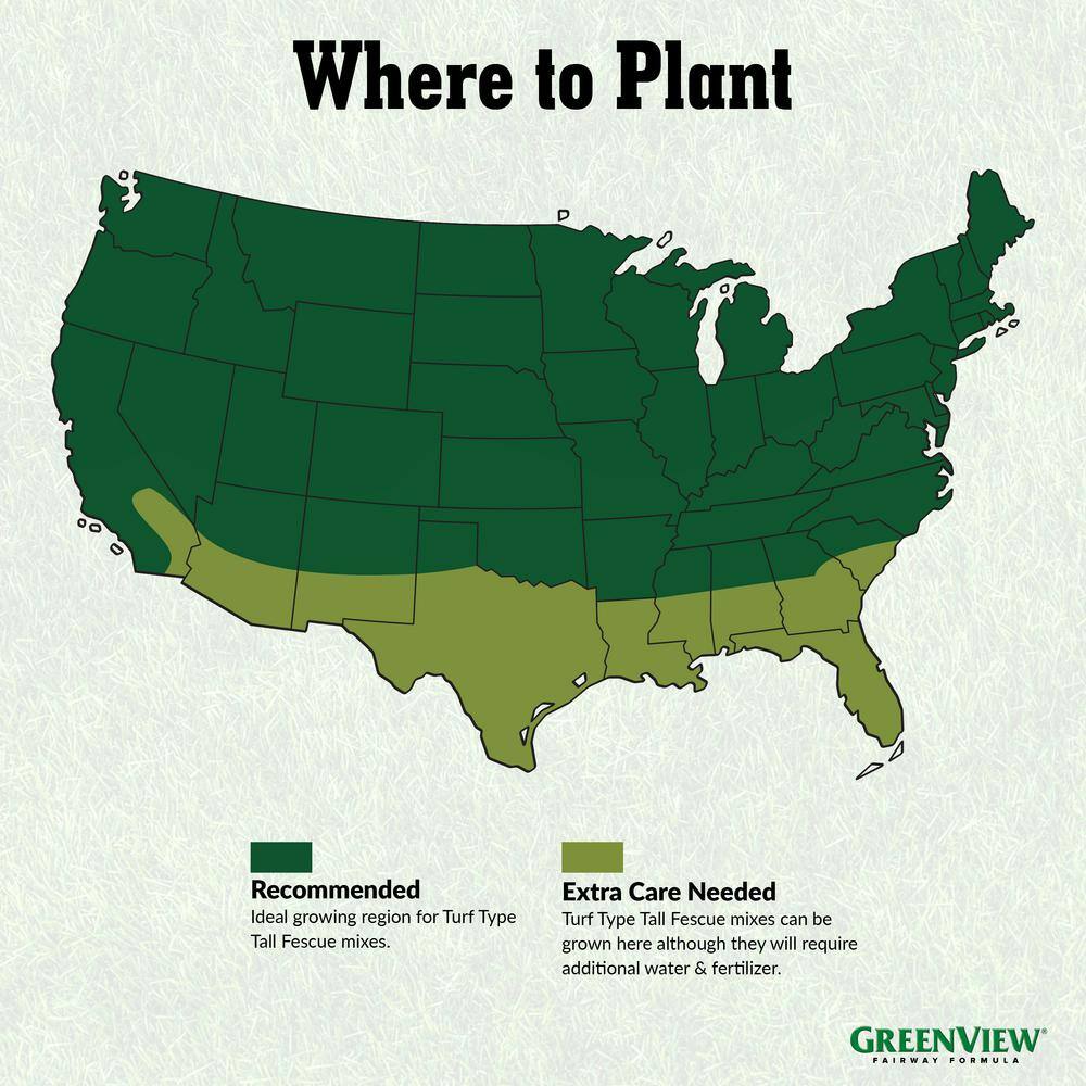 GreenView 20 lbs. Fairway Formula Grass Seed Turf Type Tall Fescue Sun and Shade Blend 2829348