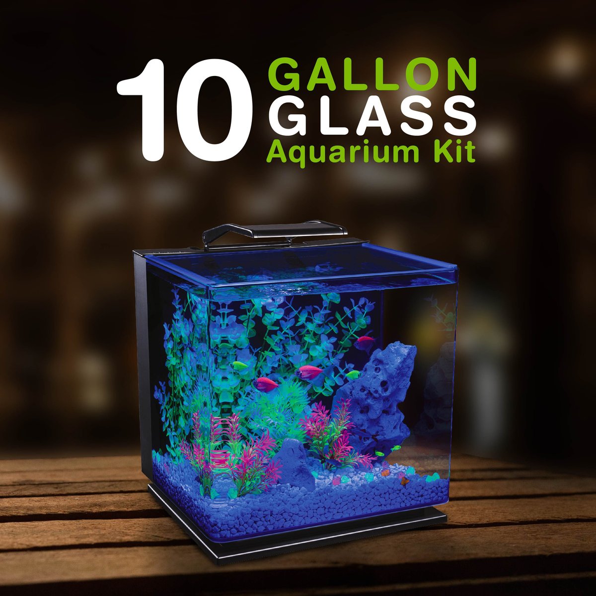 GloFish Glass Aquarium Kit， 10-gal