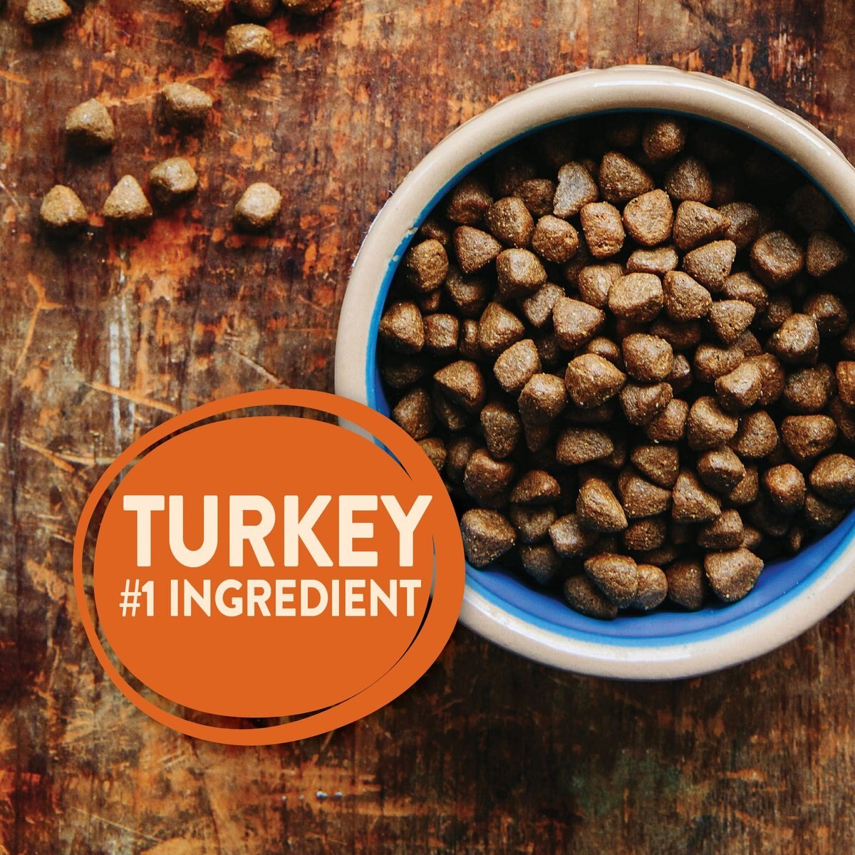 Wellness CORE Grain-Free Senior Deboned Turkey Recipe Dry Dog Food