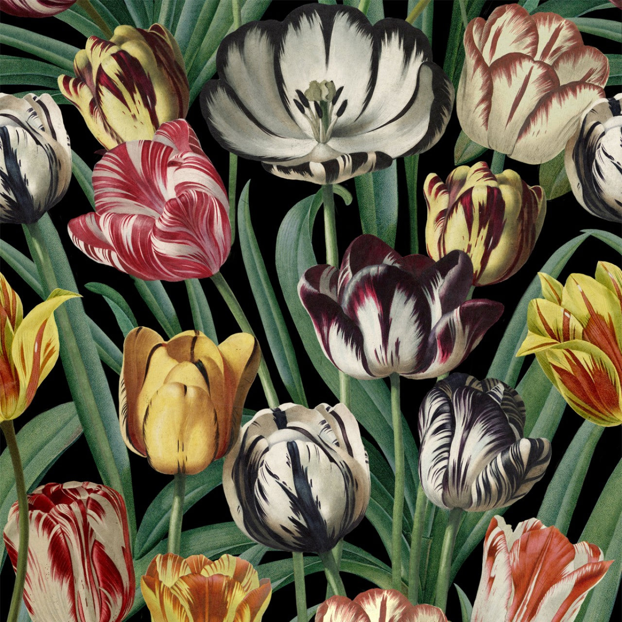 Tulipa Wallpaper from Collection II by Mind the Gap