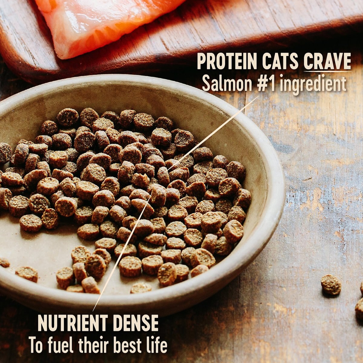 Wellness CORE Grain-Free Indoor Salmon and Herring Meal Recipe Dry Cat Food