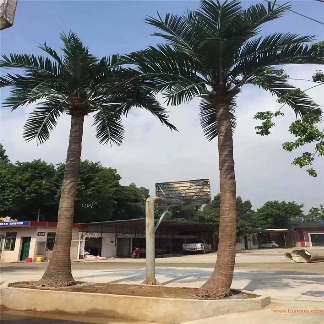 High Simulation China Supply Fiberglass Artificial Decorative Coconut Palm Trees for Landscaping