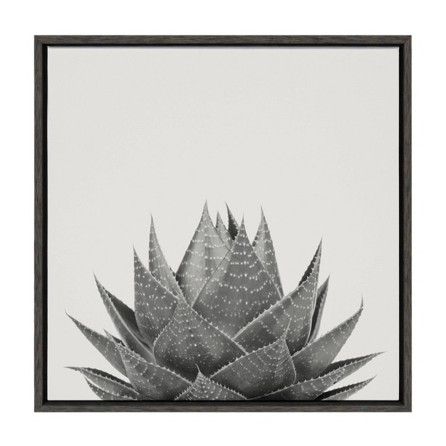 X 22 quot Sylvie Haze Aloe Succulent Framed Wall Canvas By The Creative Bunch Studio Gray Kate amp Laurel All Things Decor