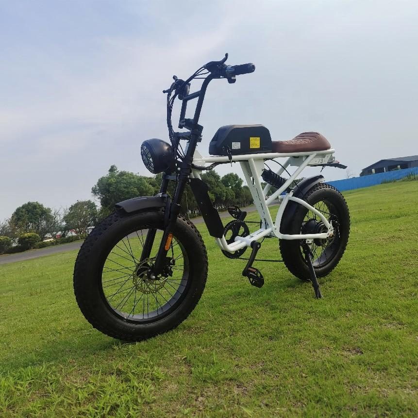 AITAIER super Mini Electric Bike 14 Inch Folding Ebike 25KM/H Electric Bicycle With Suspension Cycling E BIKE 73