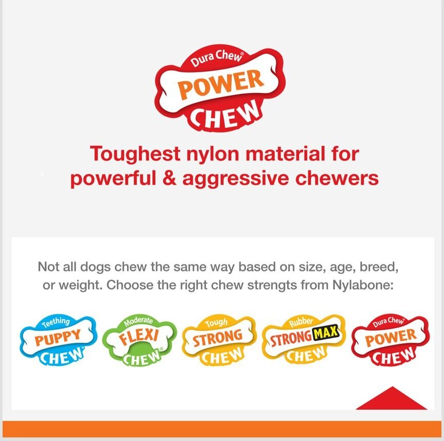 Nylabone Power Chew Aggressive Chewers Original and Bacon Flavors Dog Chew Toys， 2 count