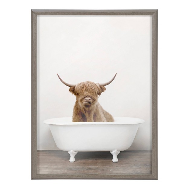 X 24 quot Blake Highland Cow In Tub Color Framed Printed Glass By Amy Peterson Art Studio Gray Kate amp Laurel All Things Decor