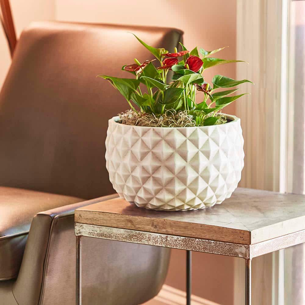 Southern Patio Pineapple Medium 12 in. x 7.5 in. 9 qt. Weathered White Resin Composite Bowl Indoor/Outdoor Planter CMX-069744