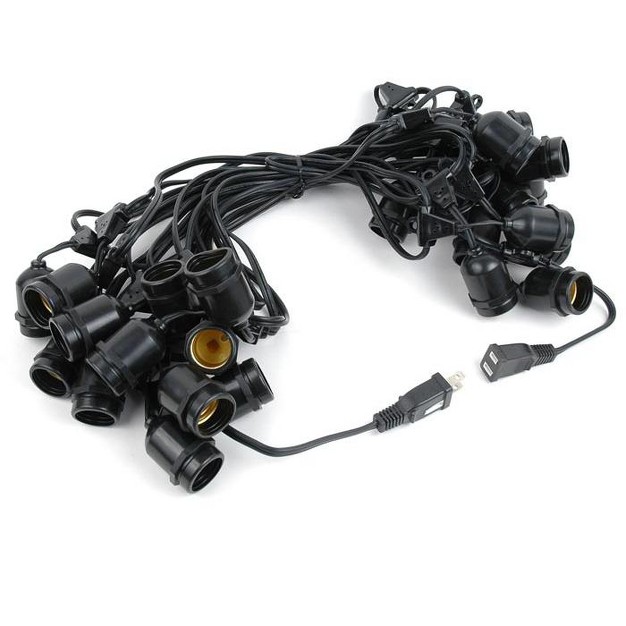 Novelty Lights Edison Outdoor String Lights With 25 Suspended Sockets Black Wire 37 5 Feet