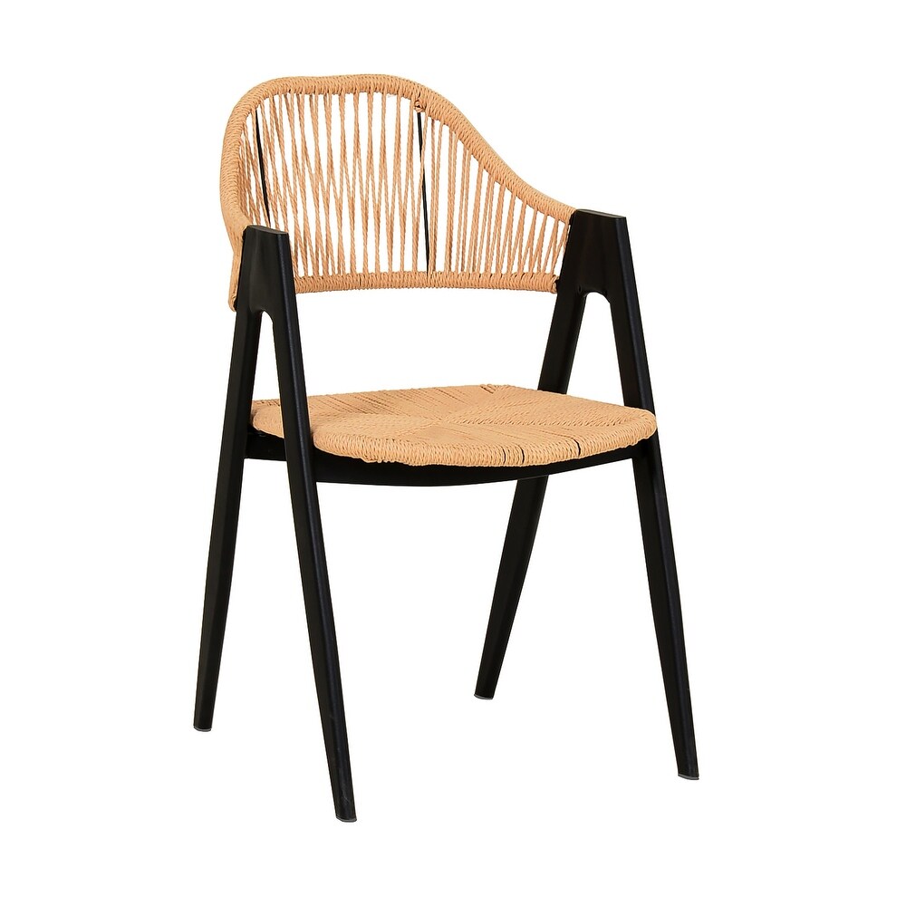 Modrest Gayle Modern Rattan Dining Chair (Set of 2)