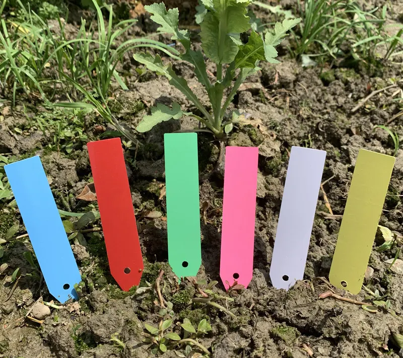 DD1193  Plastic Stakes Labels With Hole 100pcs Veggie Garden Label Placard Flower Nursery Sign Tags Marker Plant Name Tag