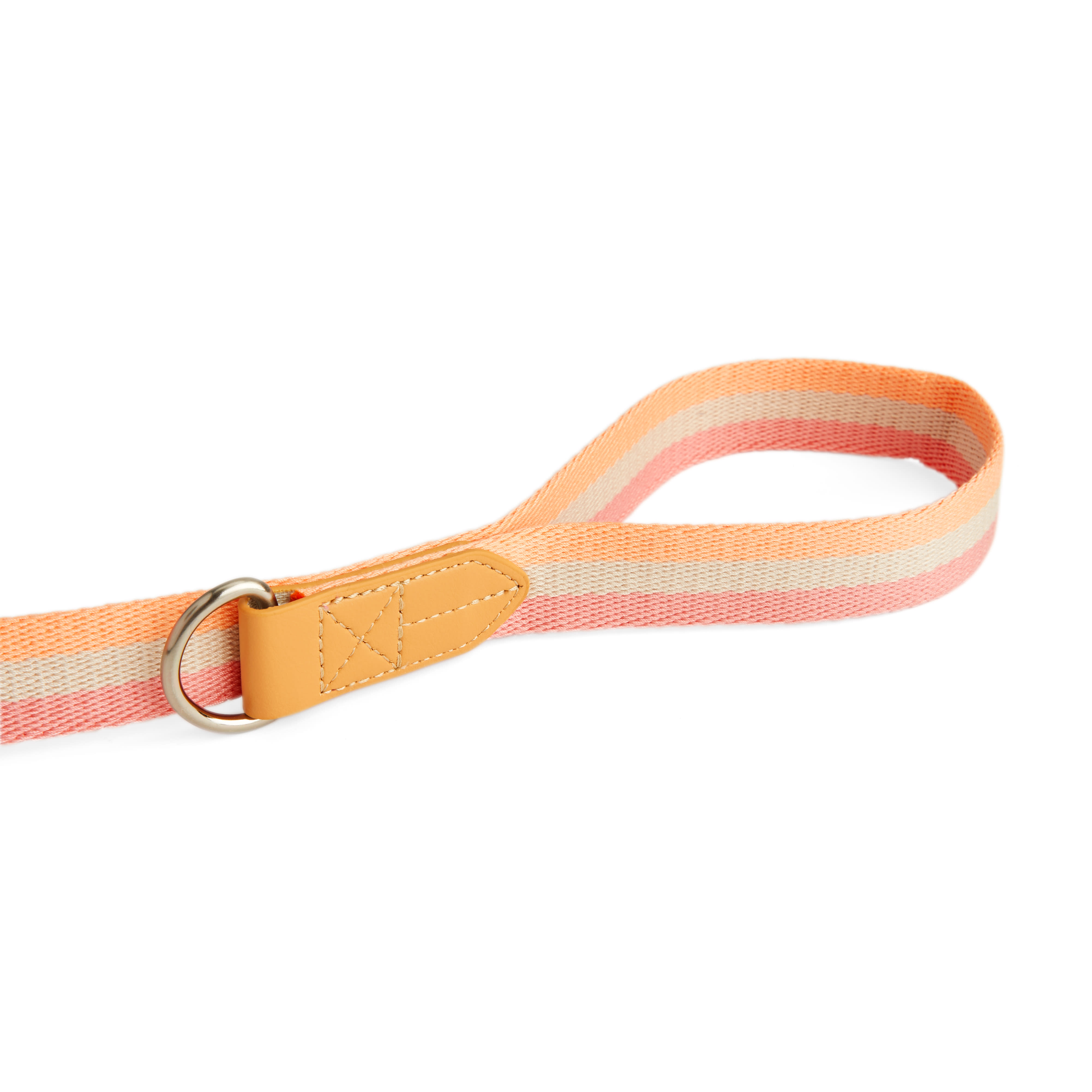 YOULY Creamsicle Dog Leash， 6 ft.