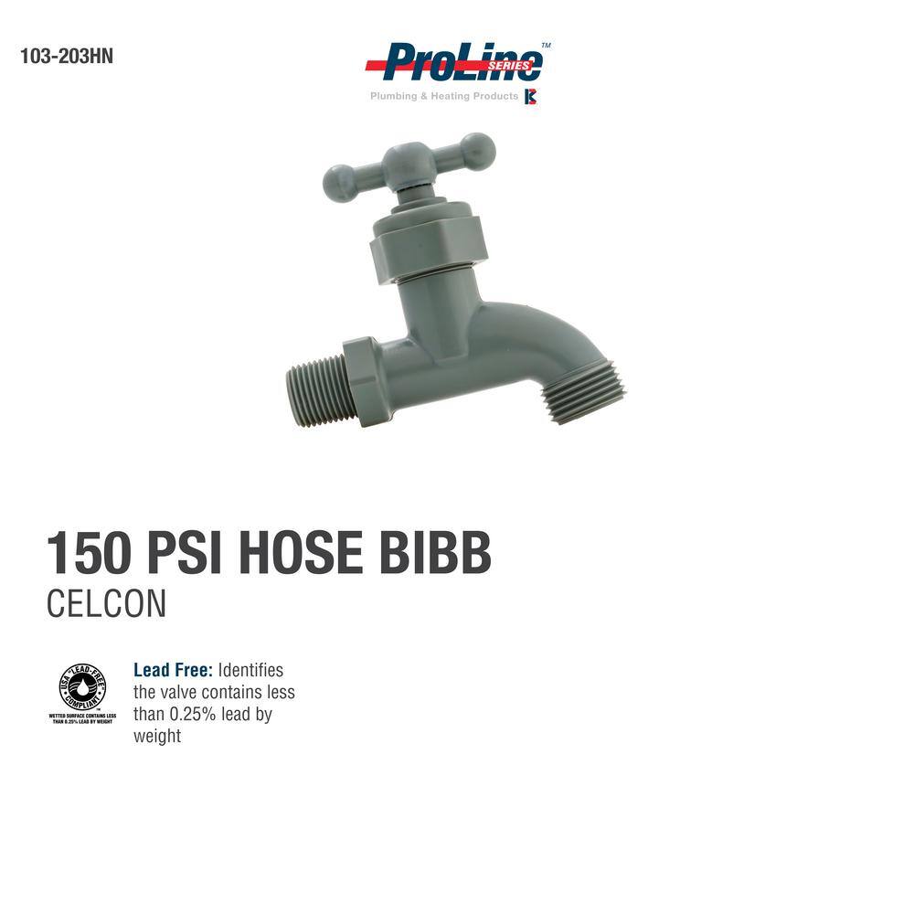 ProLine Series 12 in. x 12 in. MIP x MHT Plastic Hose Bibb 103-203HN