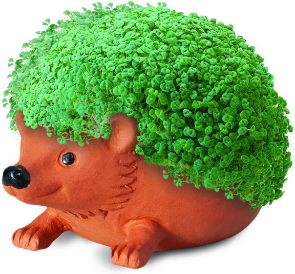 Joseph Enterprises JEI CP438 01 C Hedgehog Chia Pe...