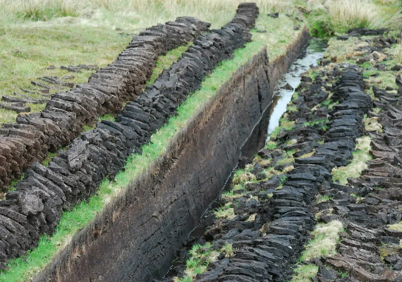 Milled peat for agriculture organic fertilizer high quality natural sustainable eco friendly peat moss