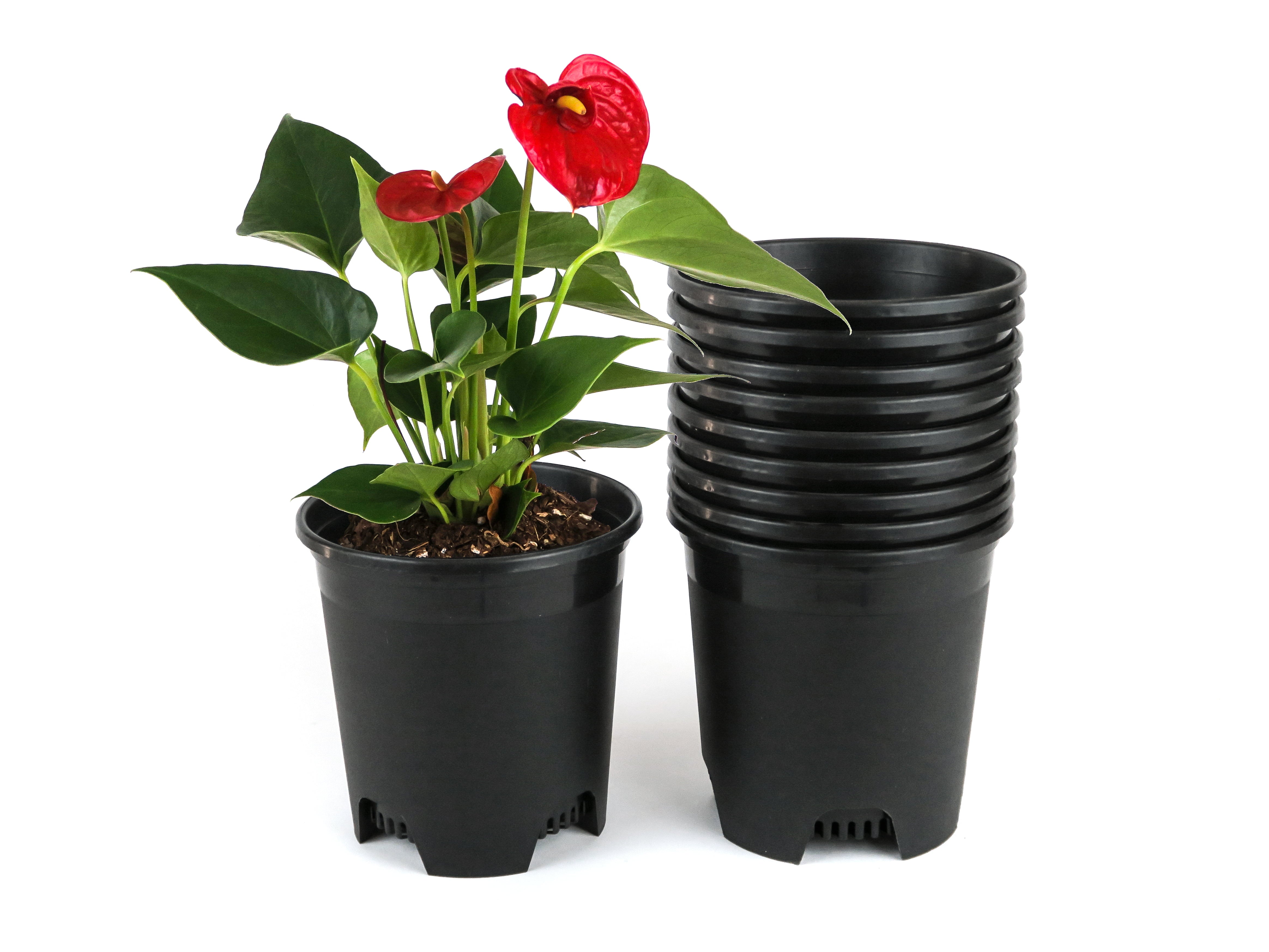 Cotta Planters 5 Inch Nursery Pots 10-Pack 0.5 Gallon Plastic Planters Liners Greenhouse supplies