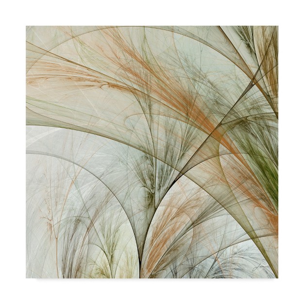 Trademark Fine Art james Burghardt x27 fractal Grass Iii x27 Canvas Art