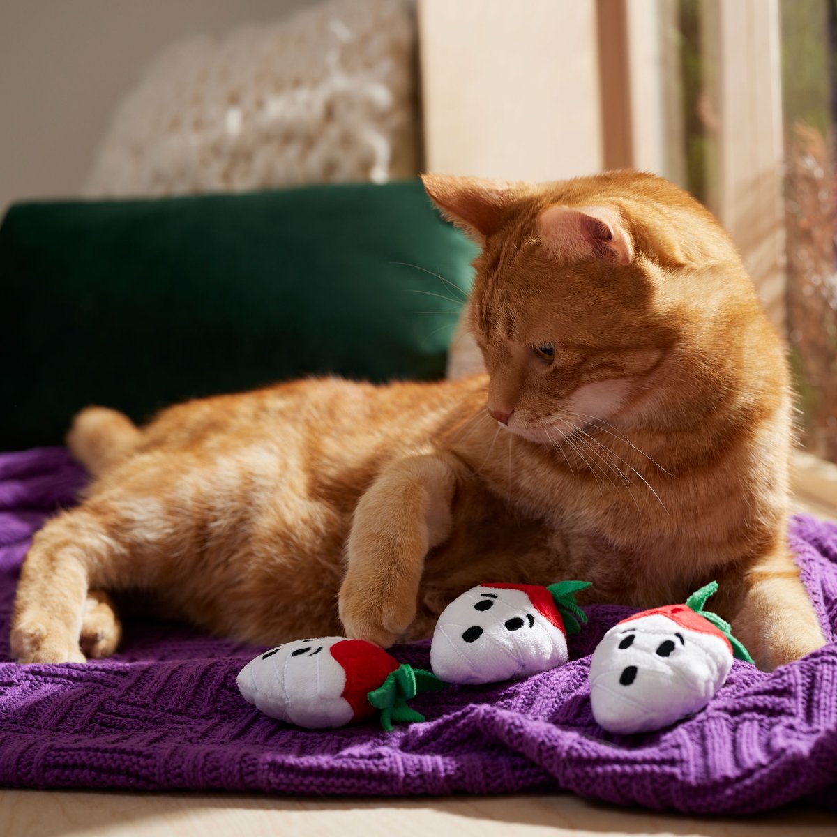 Frisco Halloween Ghost Strawberries Plush Cat Toy with Catnip， 3 count